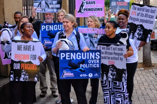 BirdLife South Africa, SANCCOB and Blue Marine foundation teams celebrating the court decision ©Peyton Joe Basson & Ayanda Kanise
